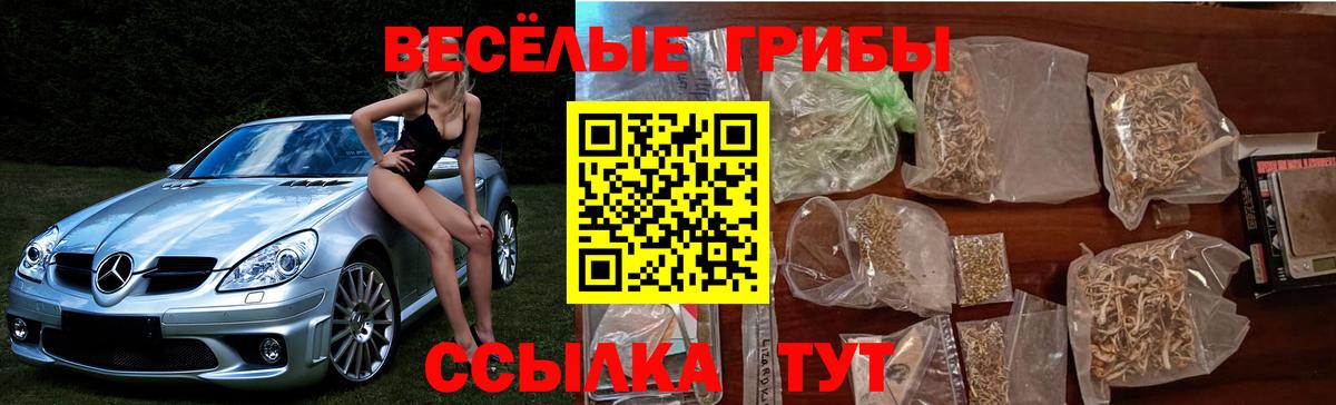 Галлюциногенные грибы ЛСД Всеволожск
