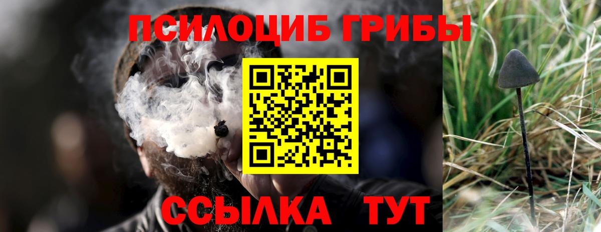 Псилоцибиновые грибы ЛСД  Псилоцибиновые грибы GOLDEN TEACHER  Вход с VPN  Всеволожск 